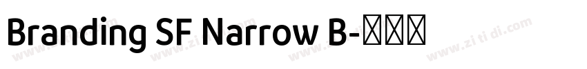 Branding SF Narrow B字体转换